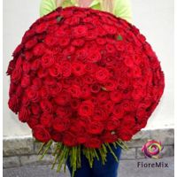 Доставка цветов Букет из 201 красной розы 70 см