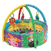 PLAYGRO Развивающий коврик-бассейн