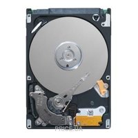 Seagate ST980813AS
