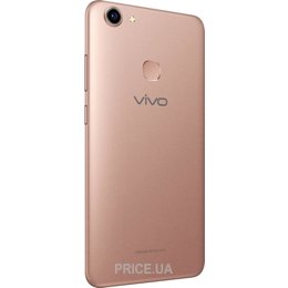 Y73 price 2025