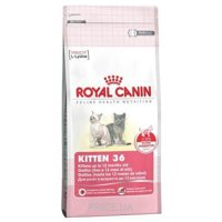 Royal Canin Kitten 36 10 кг